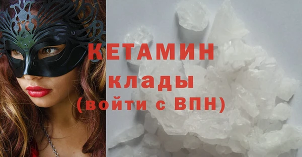 прущие грибы Няндома