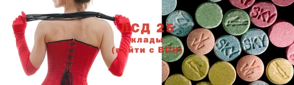 прущие грибы Няндома