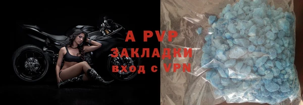 прущие грибы Няндома