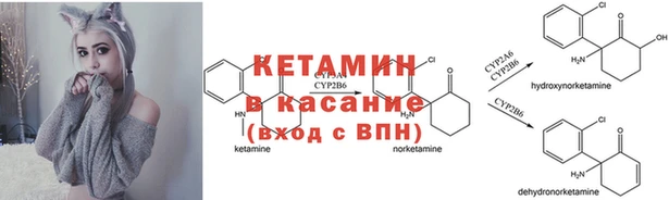 прущие грибы Верхний Тагил