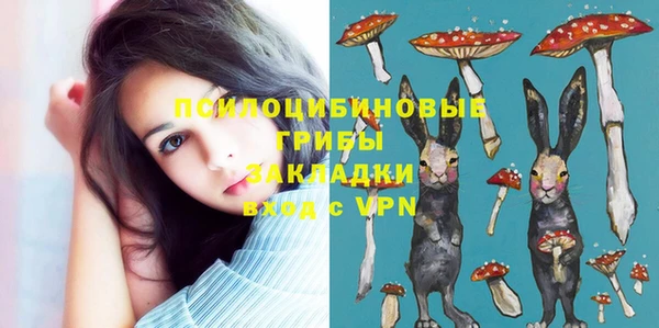 ALPHA-PVP Осташков