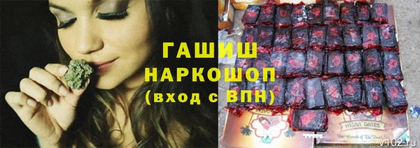 прущие грибы Няндома
